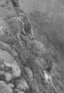 Un habitant d'Hirta à la chasse aux oiseaux sur les falaises, 1898